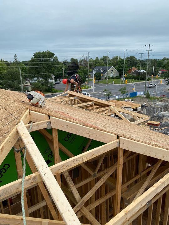 IMG_CHA_0078.jpg - Charpente