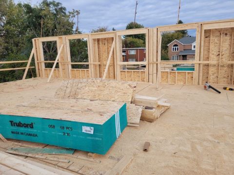 IMG_CHA_0097.jpg - Charpente